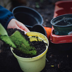 Next Gen Gardeners